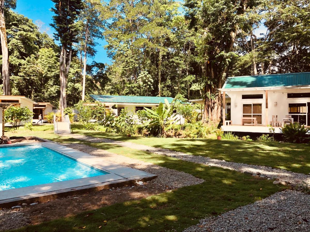 Puerto Viejo de Talamanca Sonora Jungle & Yoga Retreatヴィラ エクステリア 写真