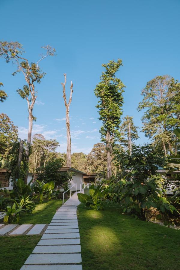 Puerto Viejo de Talamanca Sonora Jungle & Yoga Retreatヴィラ エクステリア 写真