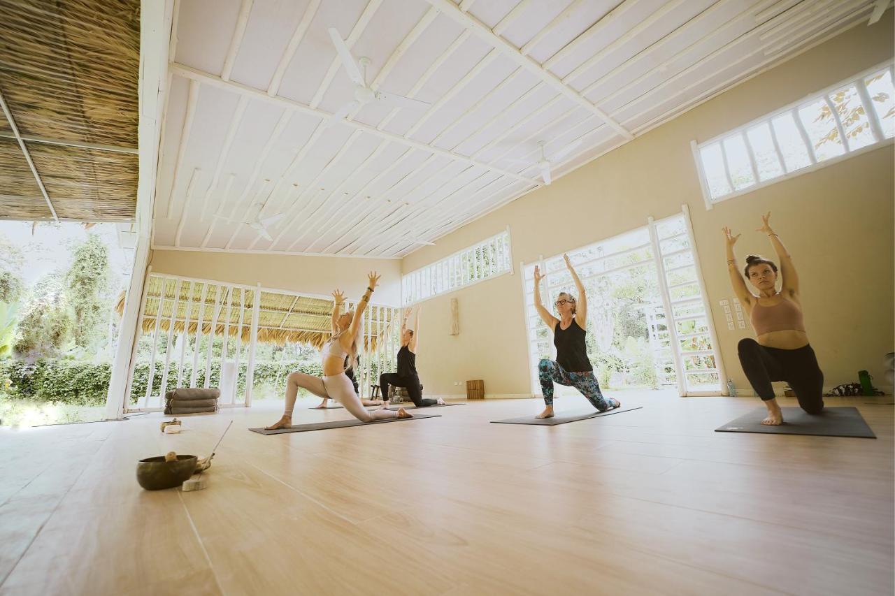 Puerto Viejo de Talamanca Sonora Jungle & Yoga Retreatヴィラ エクステリア 写真