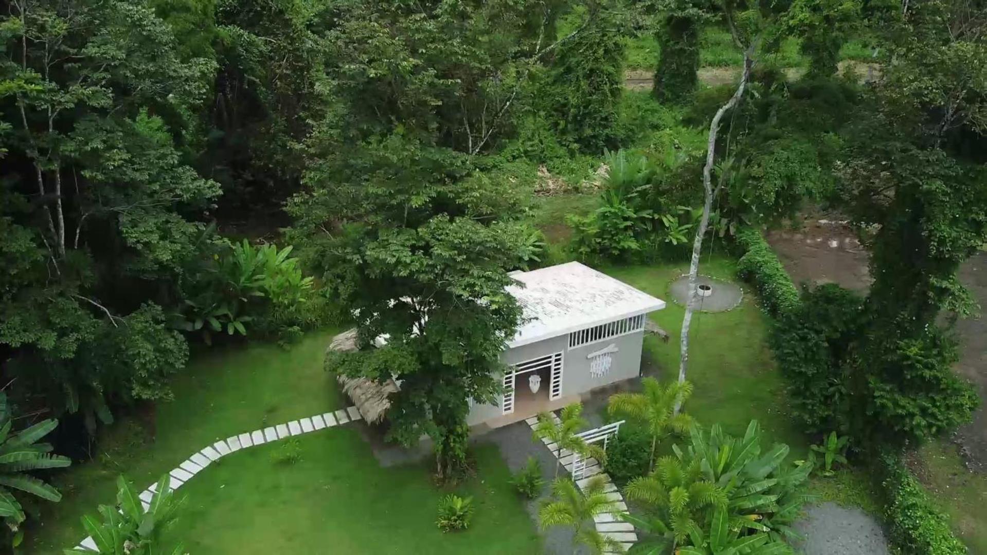 Puerto Viejo de Talamanca Sonora Jungle & Yoga Retreatヴィラ エクステリア 写真