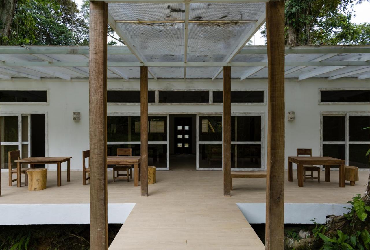 Puerto Viejo de Talamanca Sonora Jungle & Yoga Retreatヴィラ エクステリア 写真